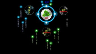 当健康饮食邂逅潮流视觉 在演界网体验“炫萌网络”的时尚PPT盛宴